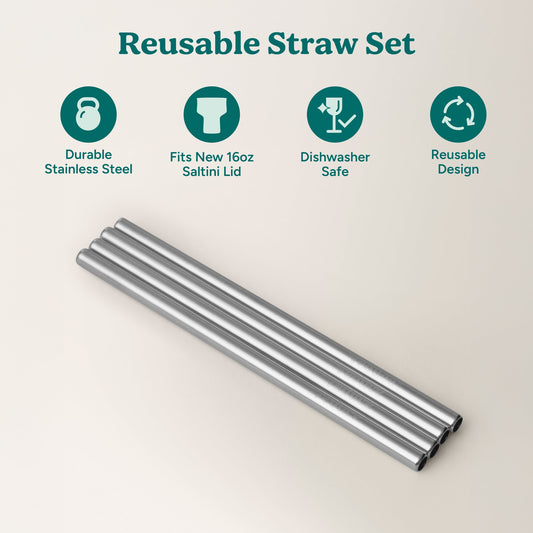 saltini-straw-set-w9 4PK_SaltiniStraws_SS-2.jpg