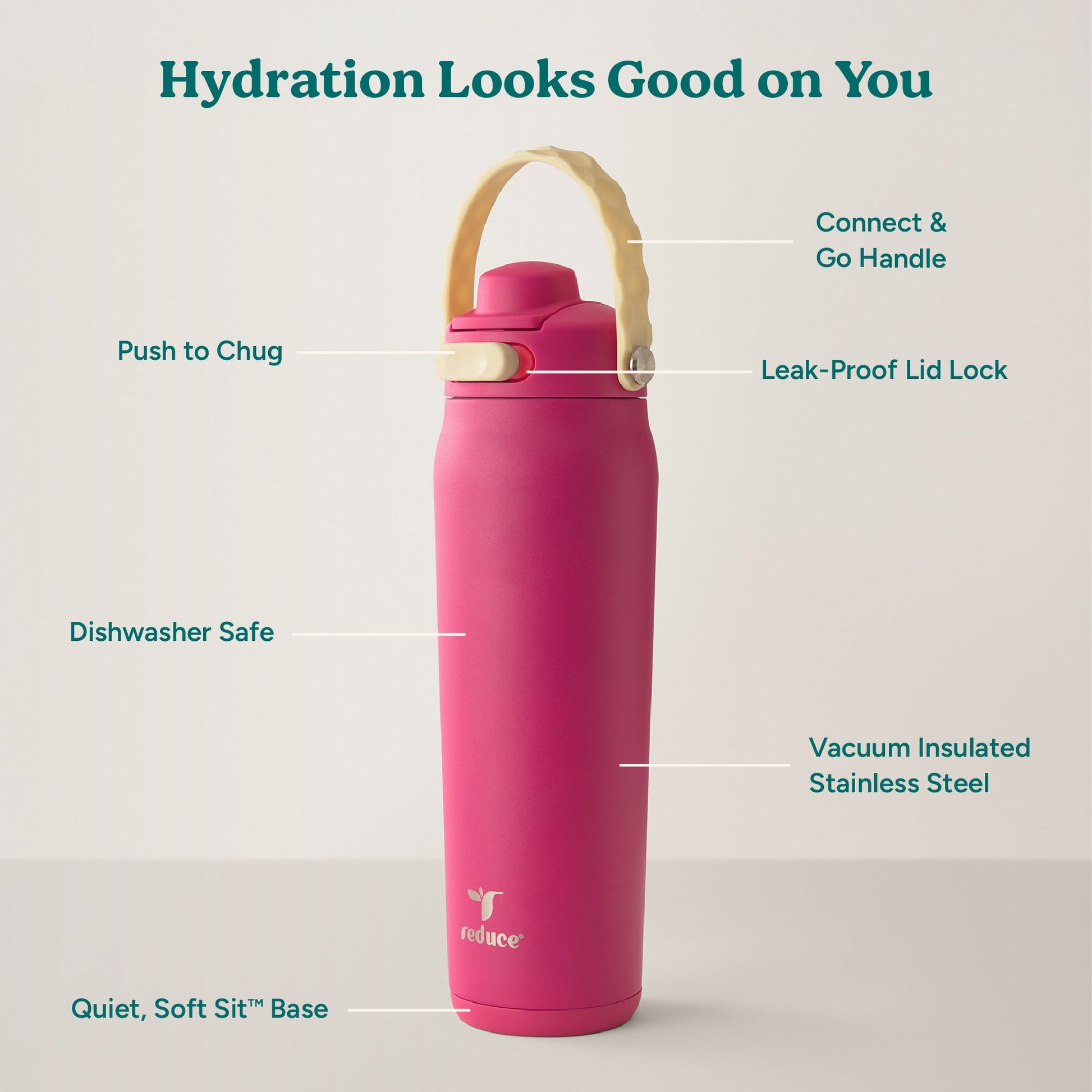 aura-26-oz-f8 Aura_26oz_DragonFruit_PDP_Infographic_2-03.jpg