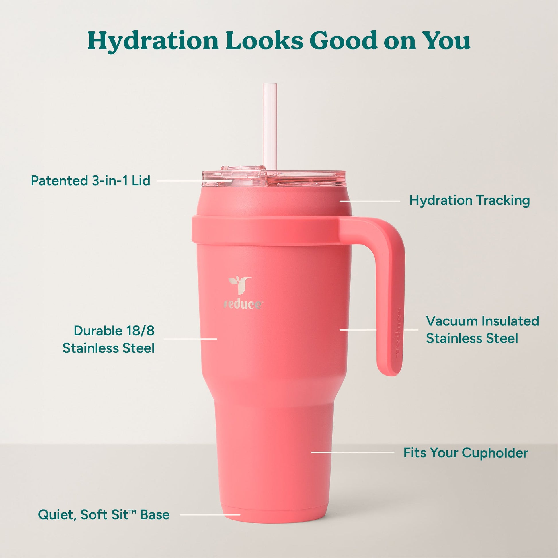 cold1-40-oz-i2 Cold1_40oz_Daiquiri_Infographic_2.jpg