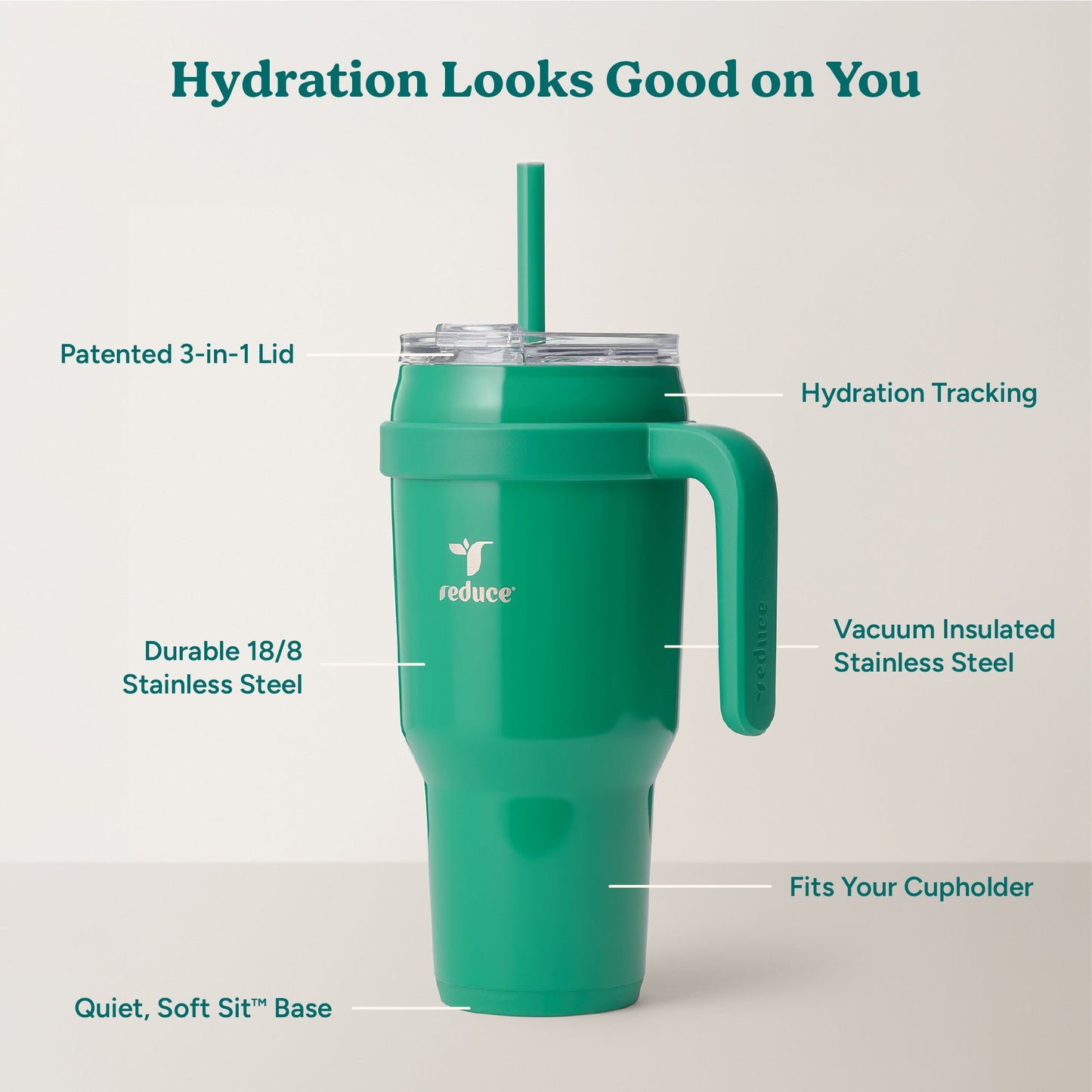 cold1-40-oz-i2 Cold1_40oz_PalmLeaf_Infographic_2.jpg