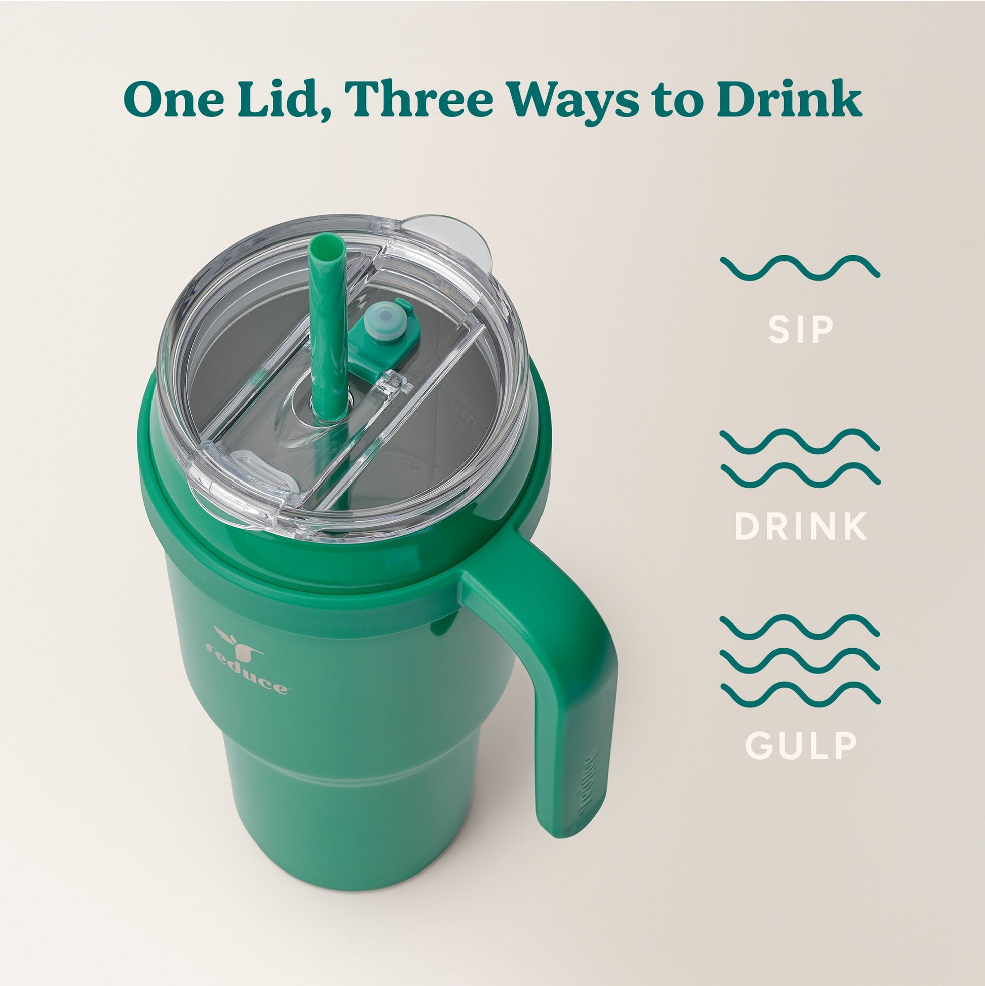 cold1-40-oz-i2 Cold1_40oz_PalmLeaf_Infographic_3.jpg