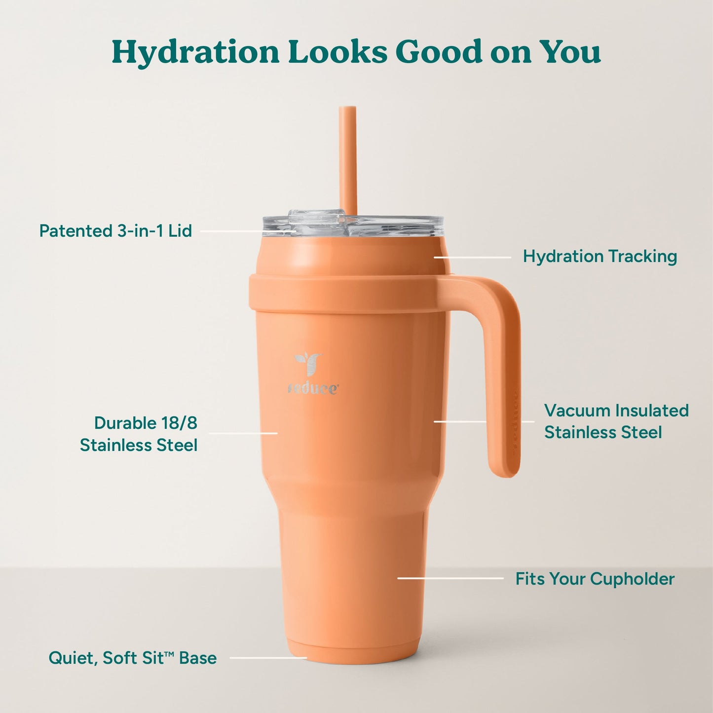 cold1-40-oz-i2 Cold1_40oz_Papaya_Infographic_2.jpg