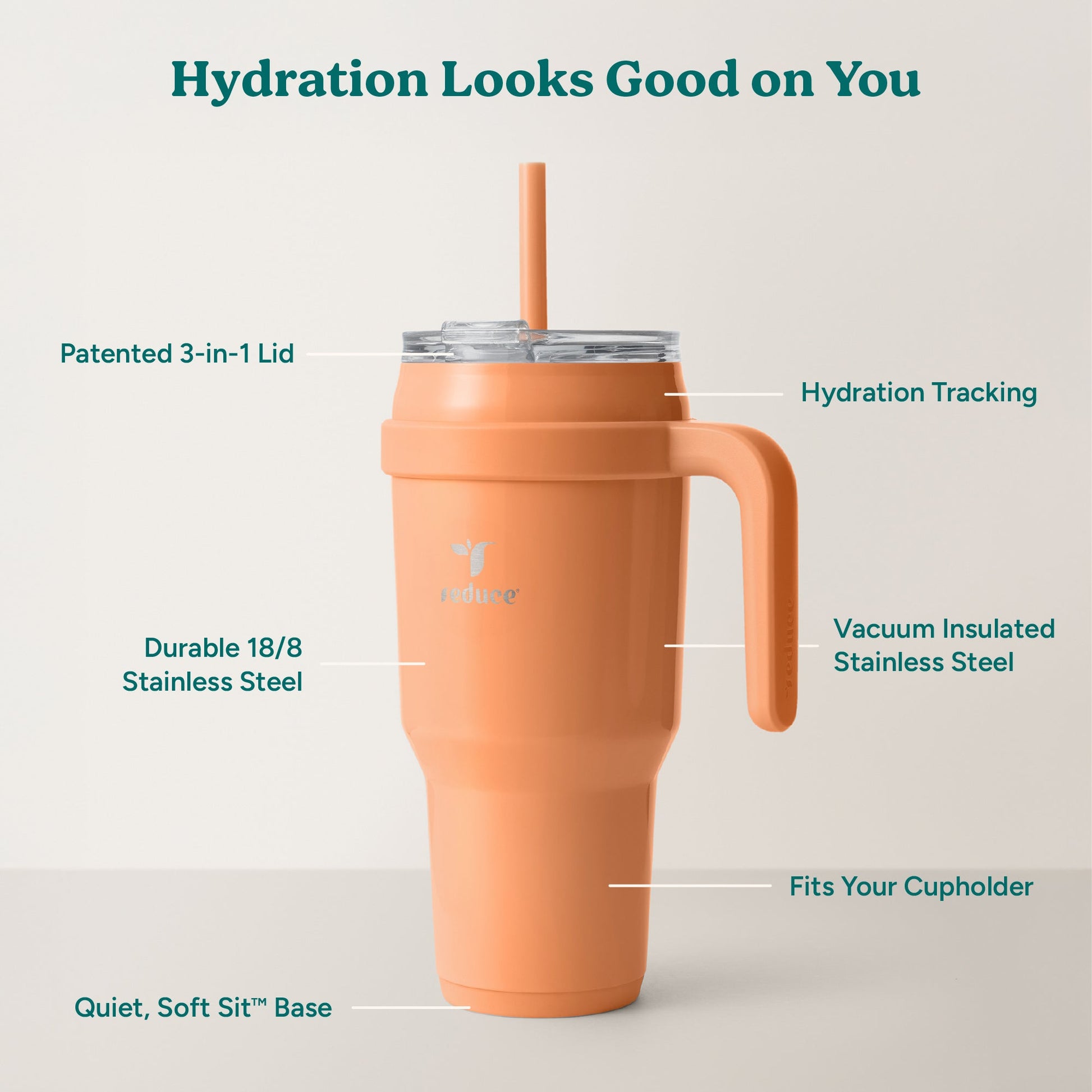 cold1-40-oz-i2 Cold1_40oz_Papaya_Infographic_2.jpg