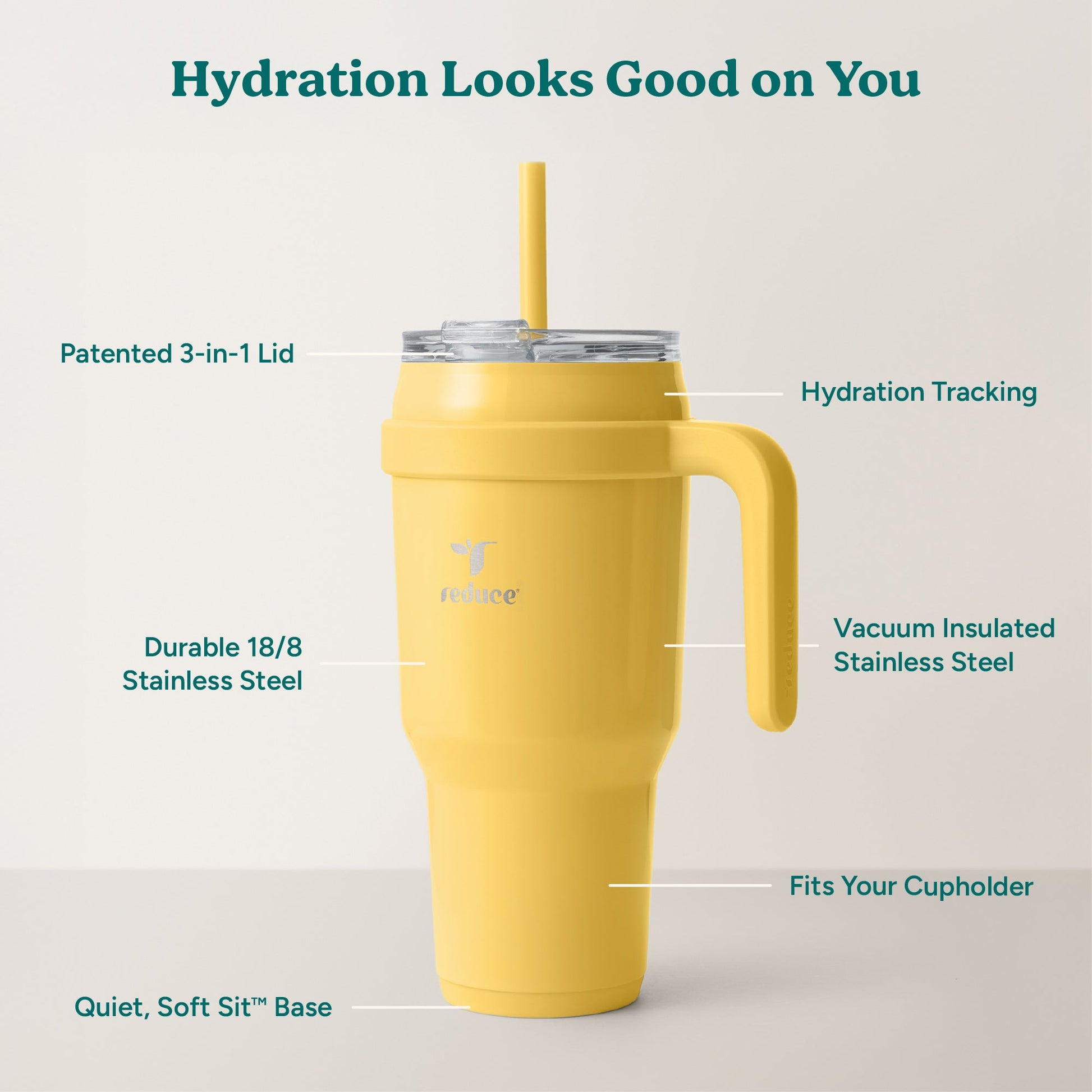 cold1-40-oz-i2 Cold1_40oz_Pineapple_Infographic_2.jpg